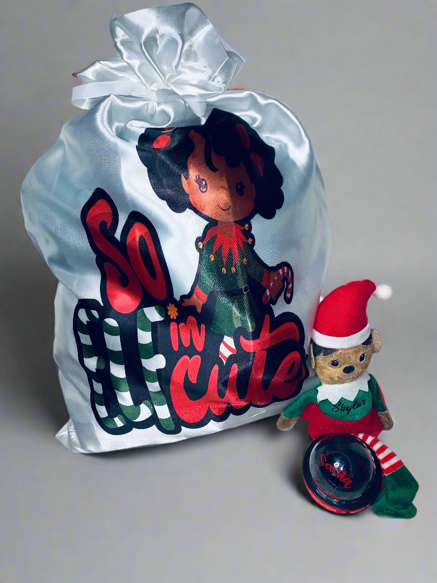 Santa Bags/ Personalized Gift Bags